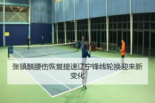 张镇麟腰伤恢复提速辽宁锋线轮换迎来新变化