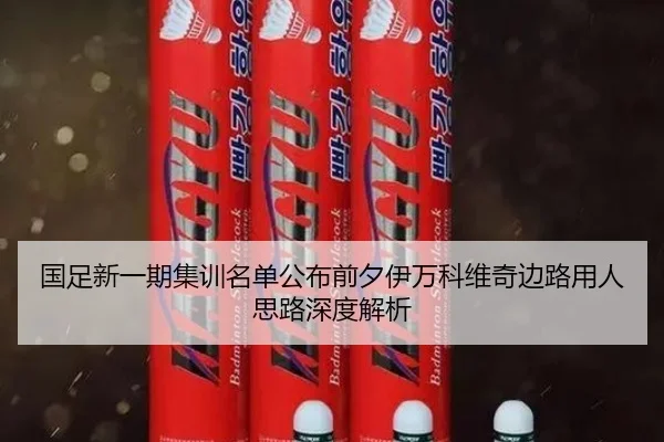 国足新一期集训名单公布前夕伊万科维奇边路用人思路深度解析